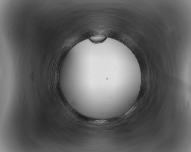 X0000085220090200703090837