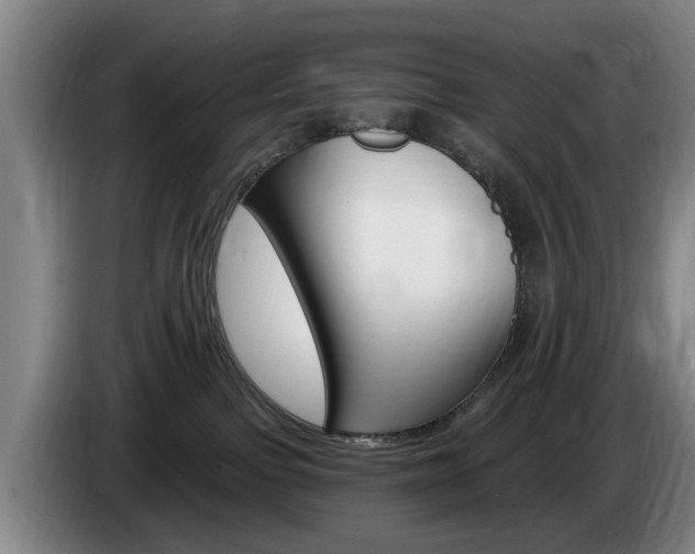 X0000085220091200703090837