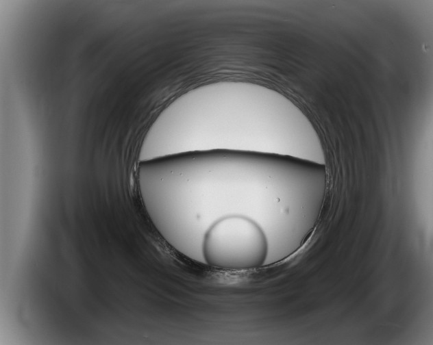 X0000085220094200703090837
