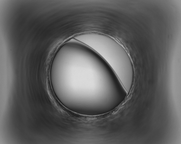 X0000085220097200703090836