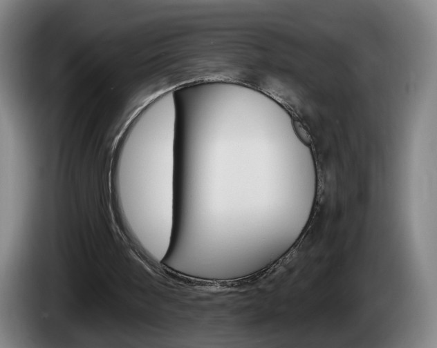 X0000085220098200703090836
