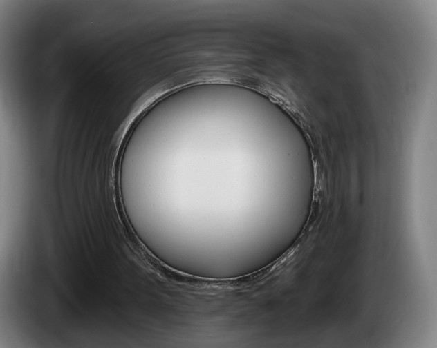 X0000085220099200703090836
