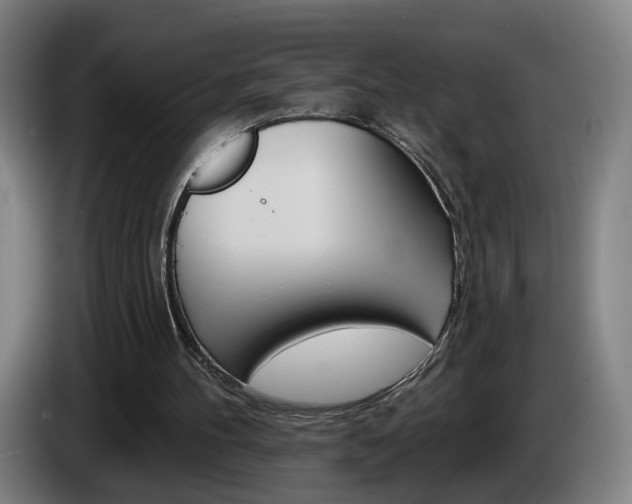 X0000085220100200703090836