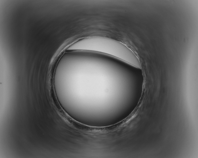 X0000085220101200703090836