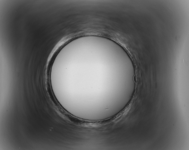 X0000085220102200703090836