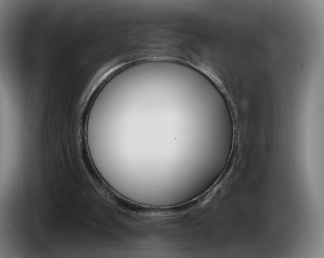 X0000085220103200703090836