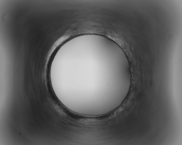 X0000085220104200703090836