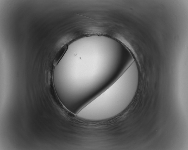 X0000085220109200703090836