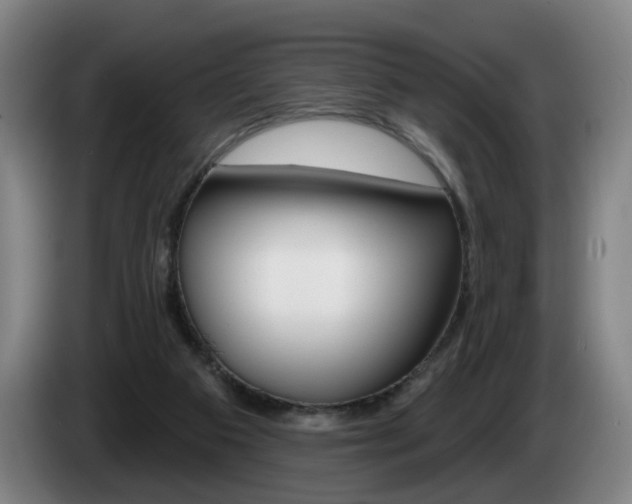 X0000085220113200703090836