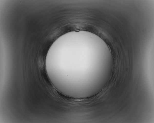 X0000085220129200703090836