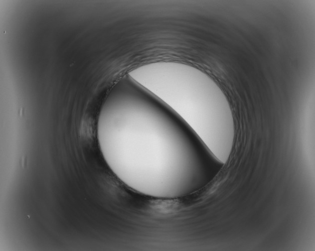 X0000085220135200703090836