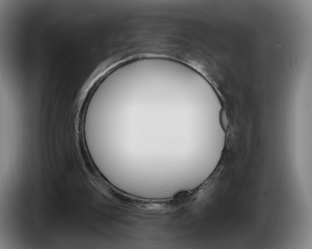 X0000085220151200703090835