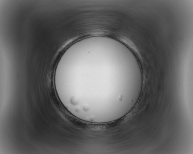 X0000085220155200703090835