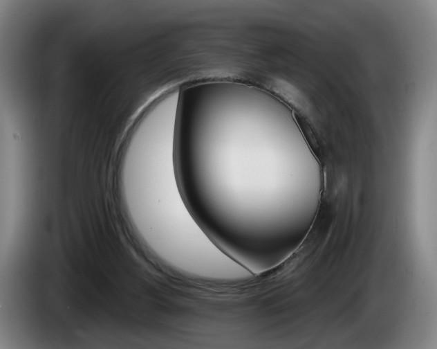 X0000085220156200703090835