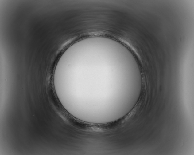 X0000085220159200703090835