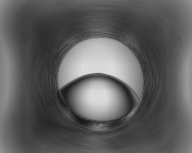 X0000085220174200703090835