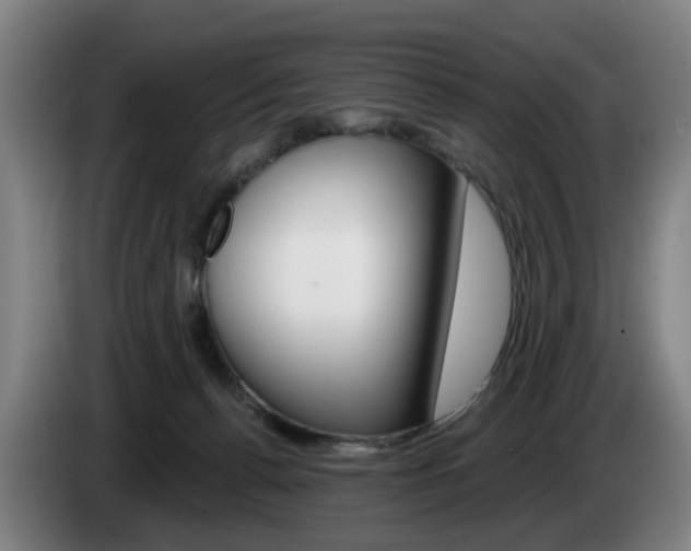 X0000085220176200703090835