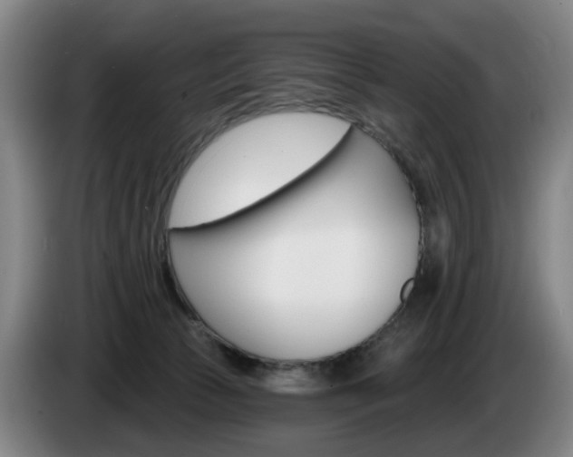 X0000085220177200703090835