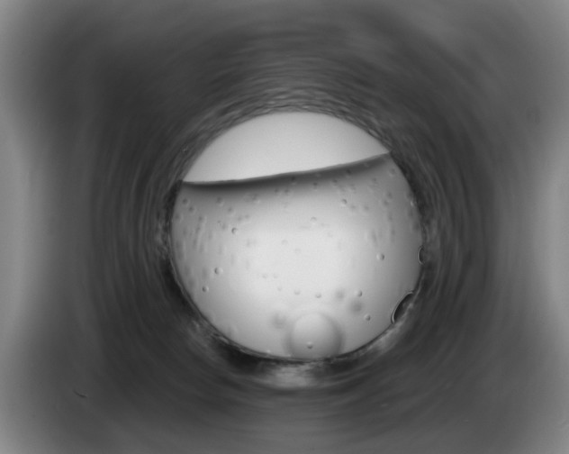 X0000085220178200703090835