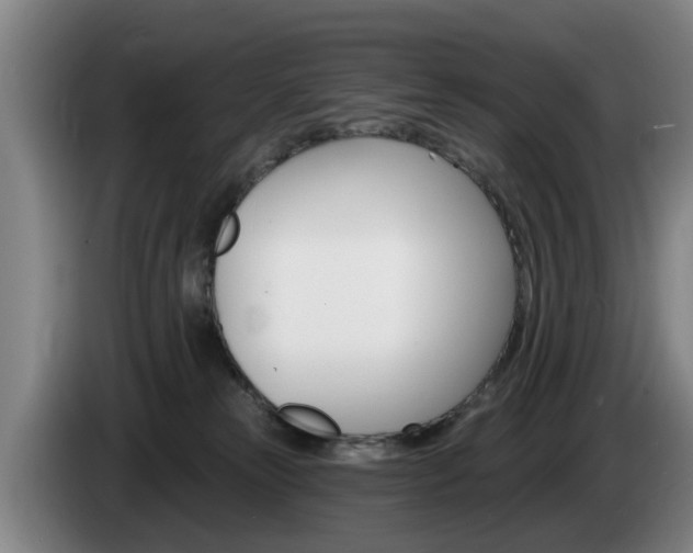 X0000085220181200703090835