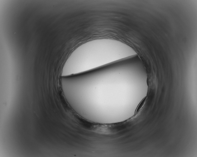 X0000085220182200703090835