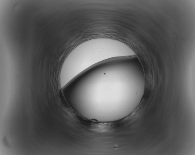 X0000085220184200703090835