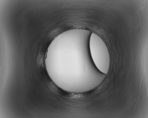 X0000085220185200703090835