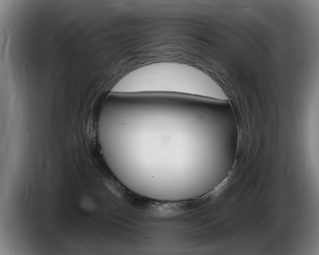 X0000085220186200703090835
