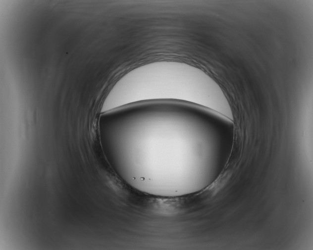 X0000085220188200703090835