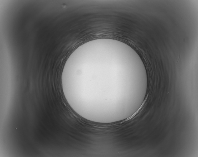 X0000085220192200703090836