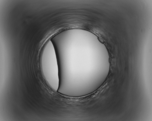 X0000085220194200703090835