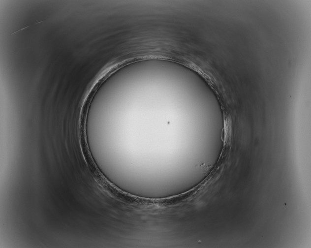 X0000085220195200703090835