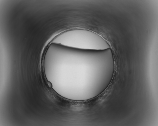 X0000085220196200703090835