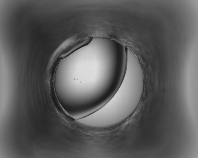 X0000085220197200703090835