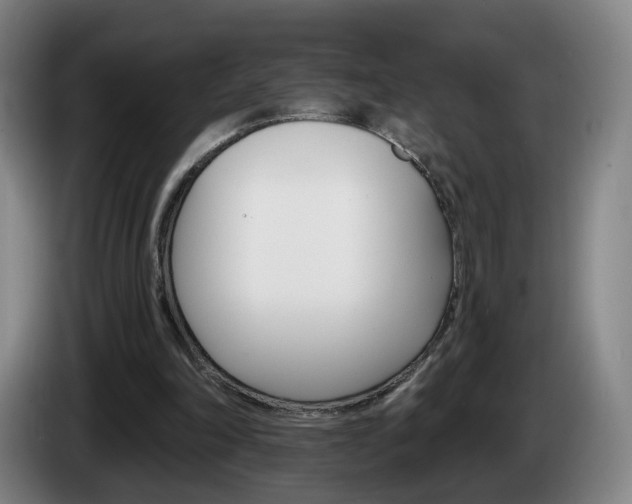 X0000085220198200703090835