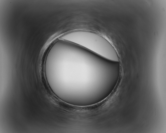 X0000085220199200703090835