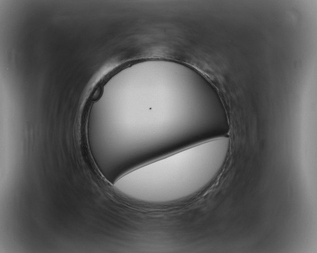 X0000085220200200703090835