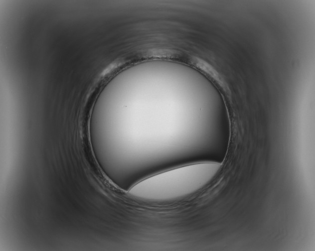 X0000085220203200703090835