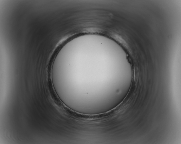 X0000085220204200703090835