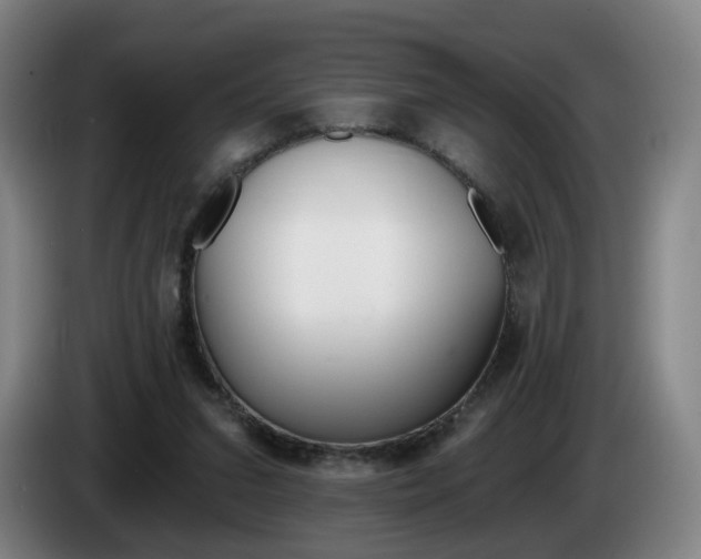 X0000085220207200703090835