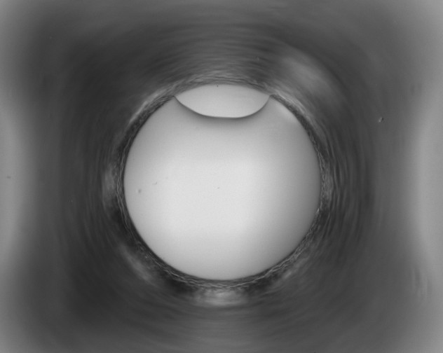 X0000085220208200703090835