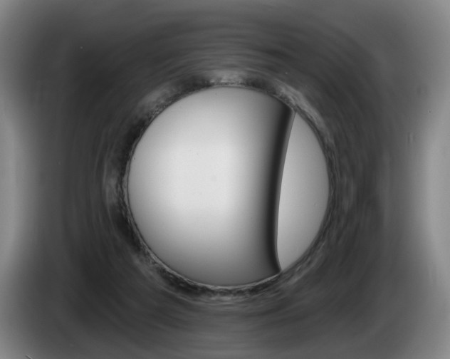 X0000085220209200703090835