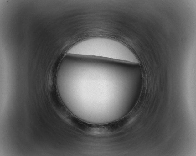 X0000085220215200703090835
