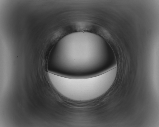 X0000085220219200703090835