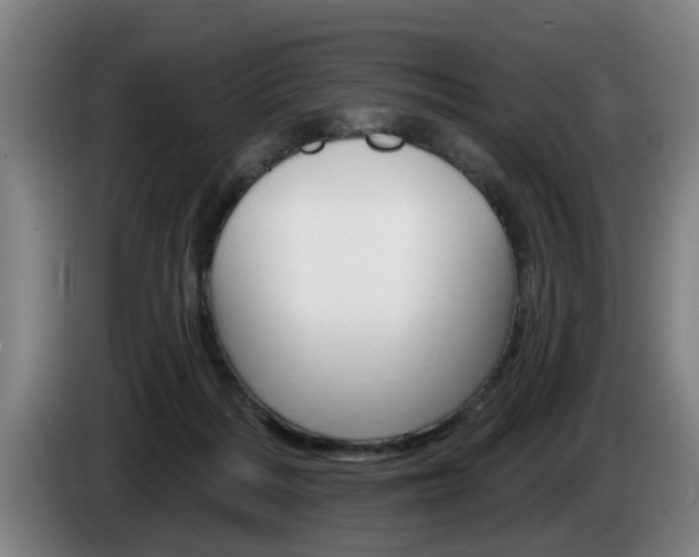 X0000085220220200703090835