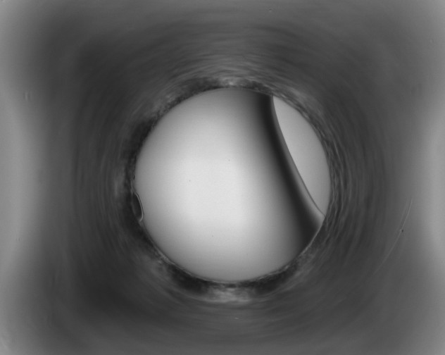 X0000085220221200703090835