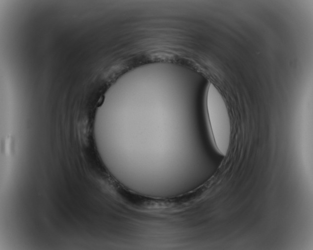 X0000085220223200703090834
