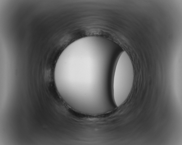 X0000085220224200703090834
