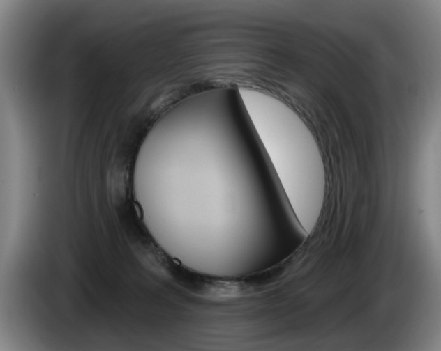 X0000085220227200703090834