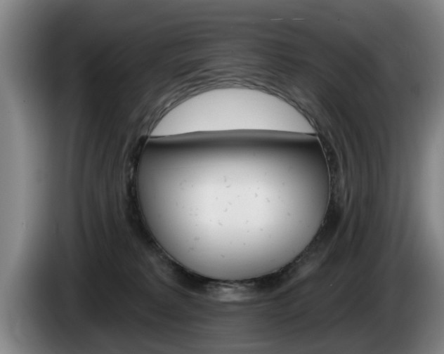 X0000085220229200703090834